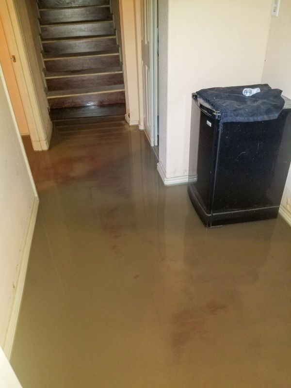 Basement Floor Removal